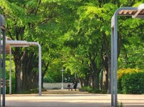  width: 100%; height : 150px