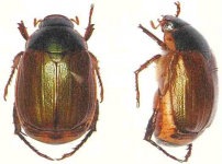  width: 100%; height : 150px